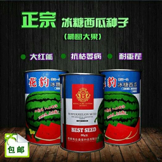 樟树市 特大花皮西瓜种子赣新花豹耐雨水耐高温座果多皮薄坚韧瓤红籽少甜