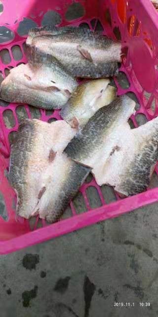 江门麦鲮鱼 麦鲮肉