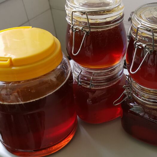 重庆市土蜂蜜 不忘初心、遵循自然、回归本质！对品质有要求的欢迎洽谈！