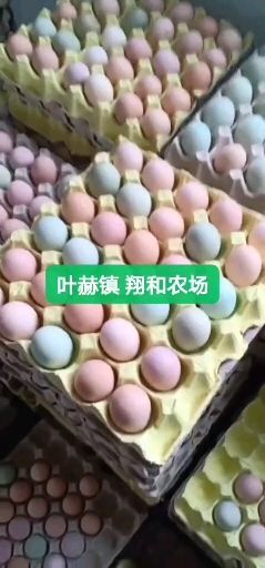 四平 东北林下散养笨鸡蛋
