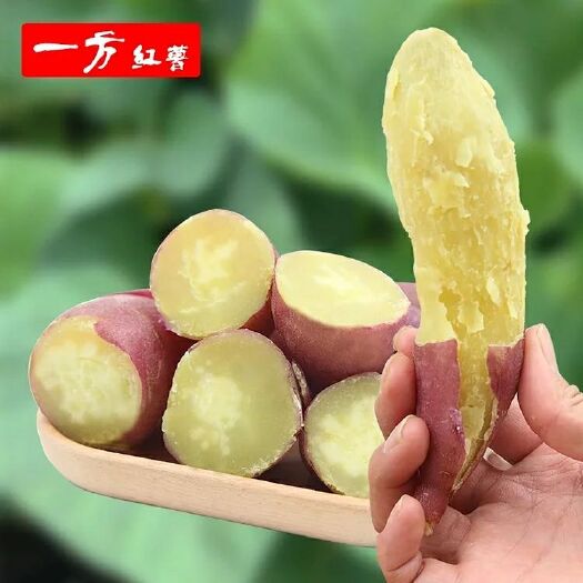 临高县 临高消费扶贫产品板栗红薯5斤装