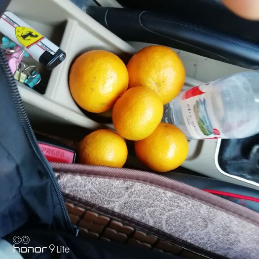 金秀县皇帝柑 看货定价