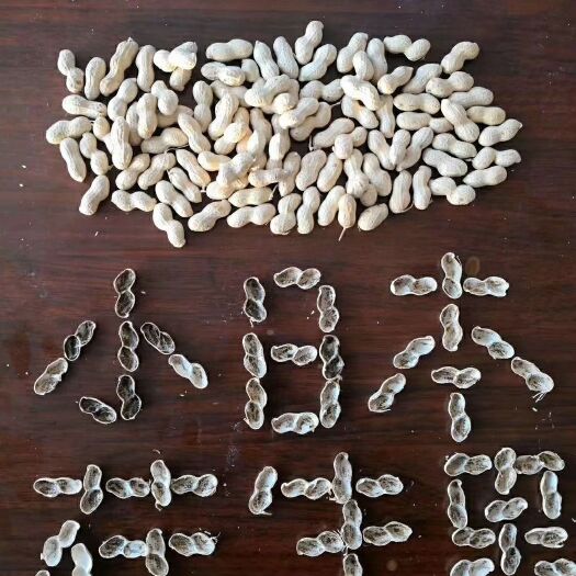 成都小日本花生果