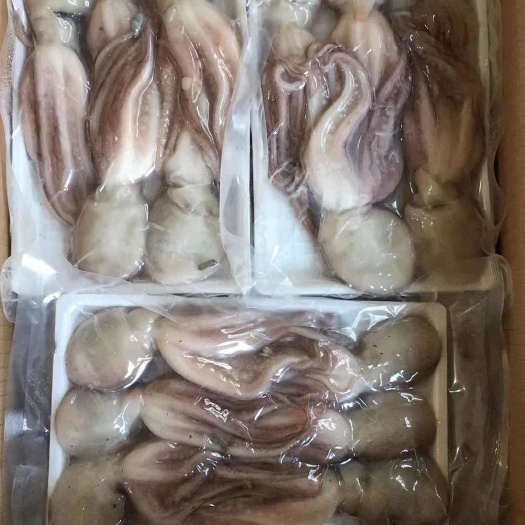 威海 原浆冻板八爪鱼