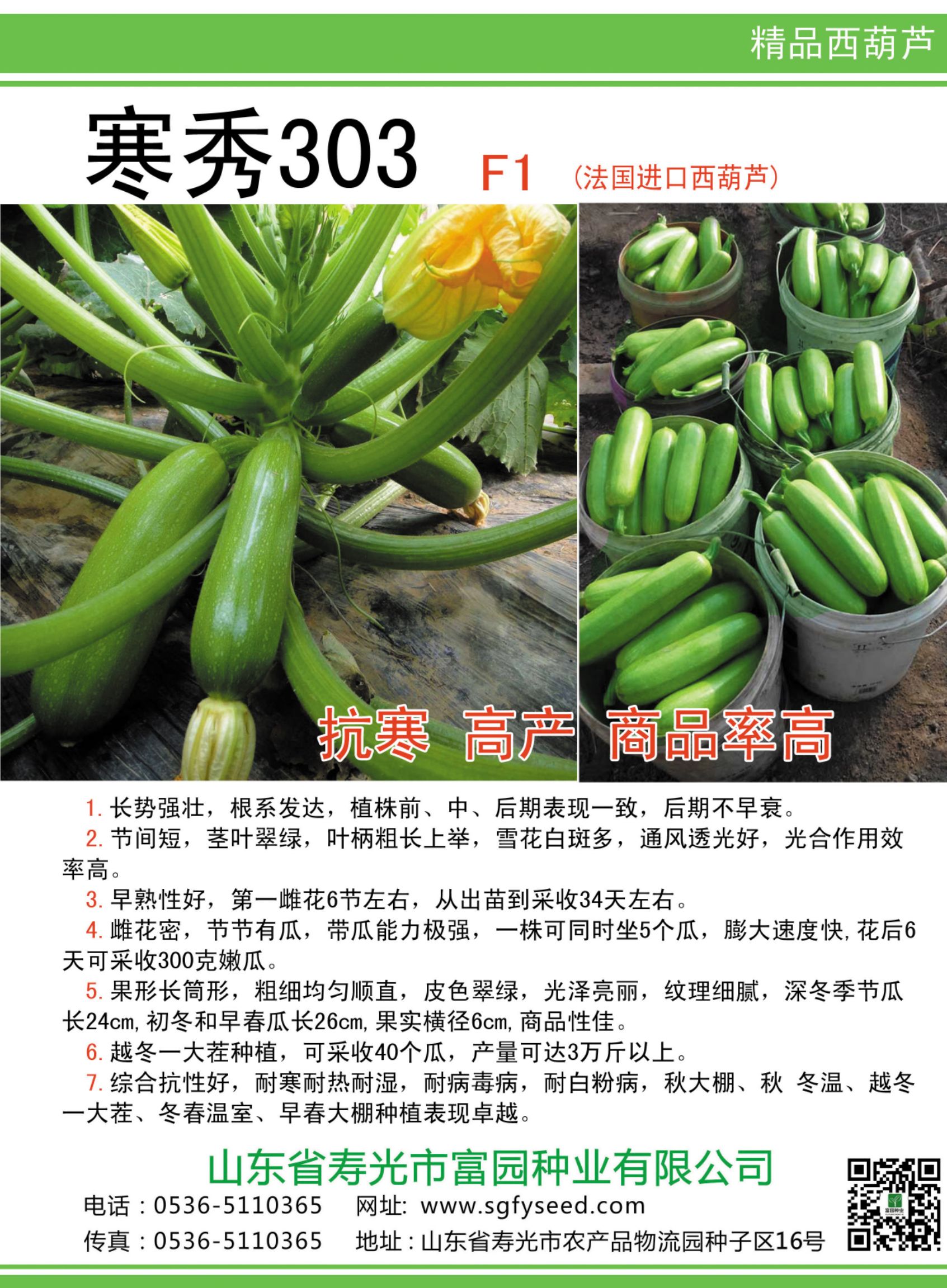 寿光市抗寒抗病毒西葫芦种子 油亮型翠绿高产角瓜籽包邮