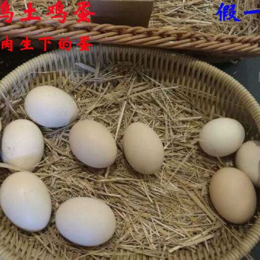土鸡蛋   海南文昌鸡村鸡蛋假一赔十包邮