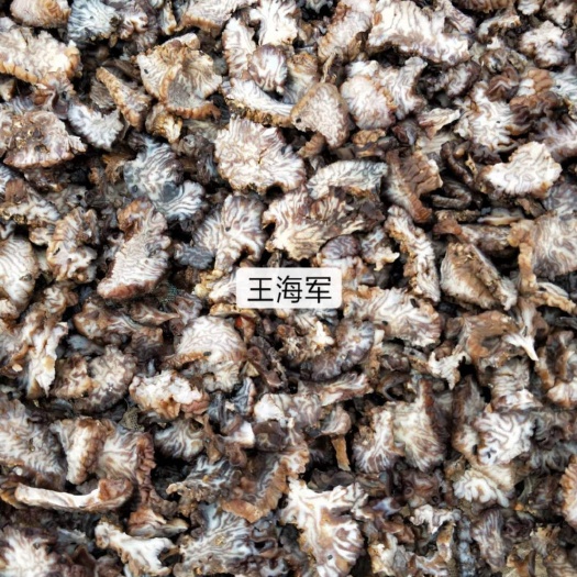 核桃菌片，松花菌片，猴脑菌，玛卡菌玛咖菌菌菇片核桃菌批发零售