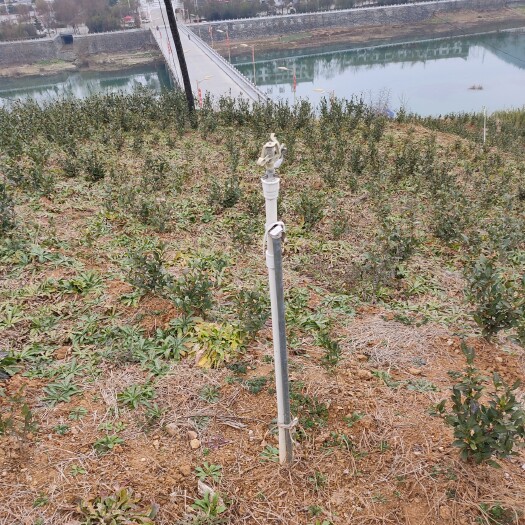 济南喷头 茶园喷灌系统