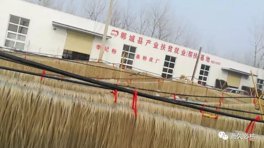 郸城县红薯粉