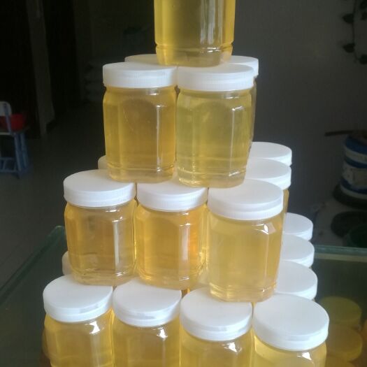 尉氏县槐花蜜 天然洋槐蜜