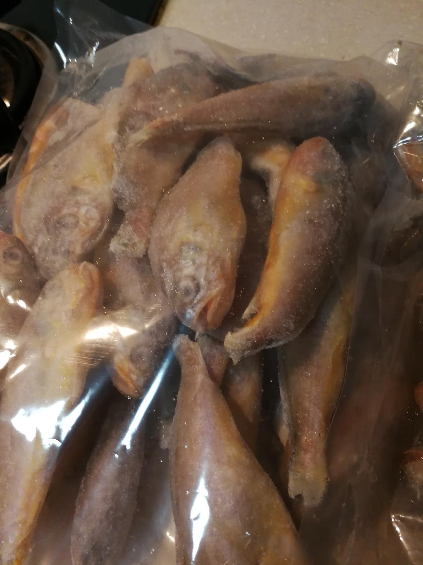 黃花魚冷凍黃花魚小黃魚大黃魚新鮮海鮮包郵