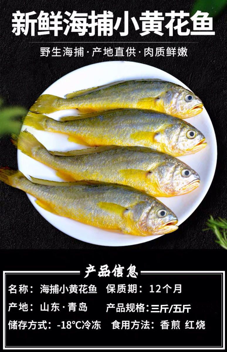 黃花魚冷凍黃花魚小黃魚大黃魚新鮮海鮮包郵