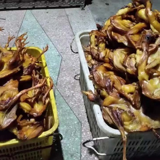 益阳 洞庭湖腊鸡