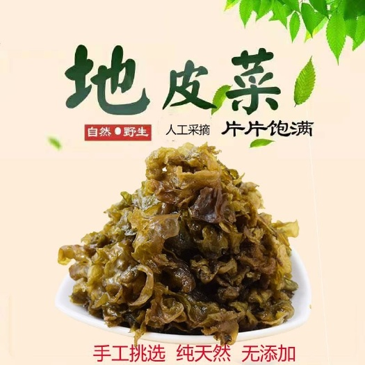 清水县 甘肃特产天然野生菌地皮菜地软地木耳