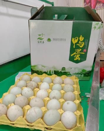 芷江县 芷江麻鸭绿壳鸭蛋