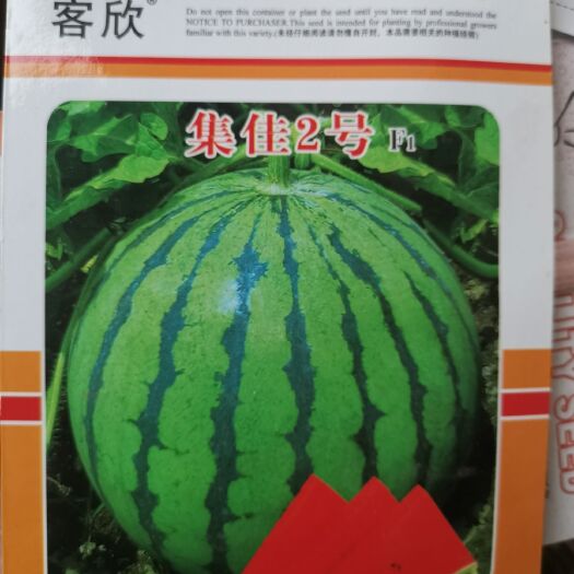 扶沟县美都西瓜种子 集佳2号~早熟果实正圆瓤色红座果率好14度商品