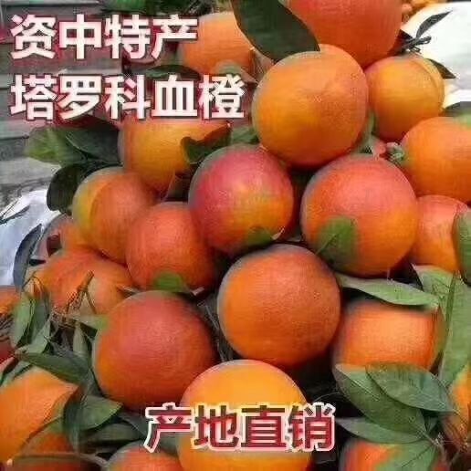 资中县资中血橙