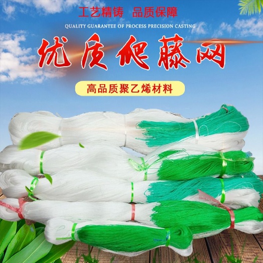 无棣县植物爬藤网 山药网黄瓜网豆角网丝瓜吊瓜网 爬架攀爬网种植网