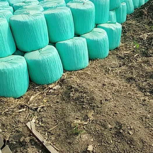 灵璧县青储草 玉米秸秆已发酵打包好，260每吨