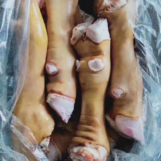 阳信县牛蹄
