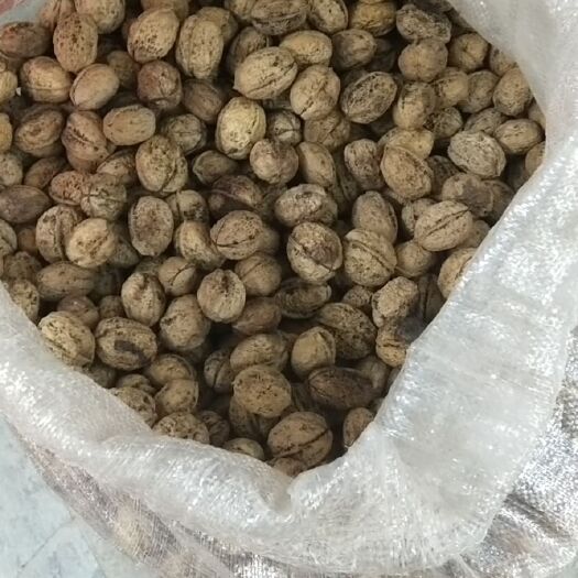 弥渡县纸皮核桃 26~30mm 去皮 袋装
