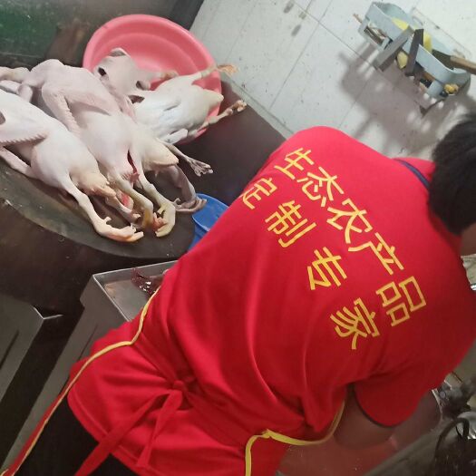 福州 生态农产品！土鸡土鸭