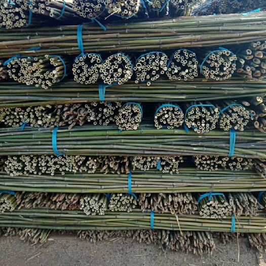 耒阳市黄金竹 菜架竹2.5米