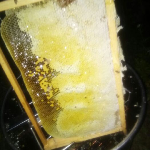 惠州蜂巢蜜 纯正天然成熟蜜，封盖蜜，蜂场直发