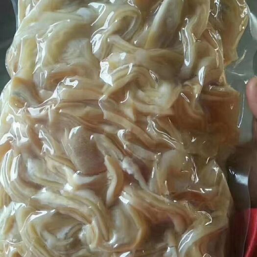  牛耳丝