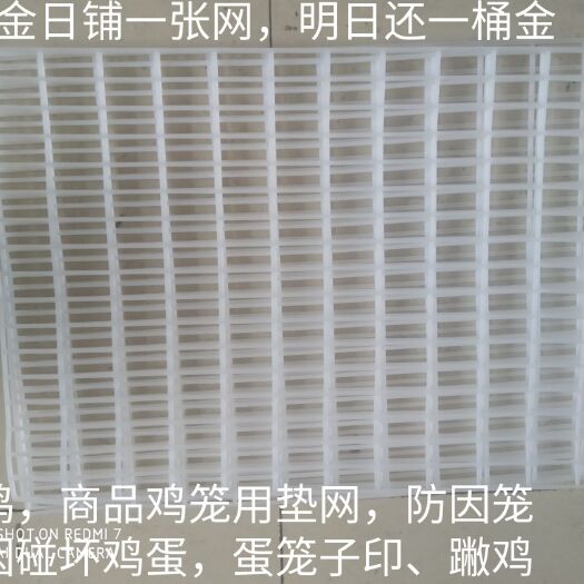 济宁塑料蛋托 生产有孔、无孔鸡蛋托，360禽蛋折叠框、笼用塑料垫网