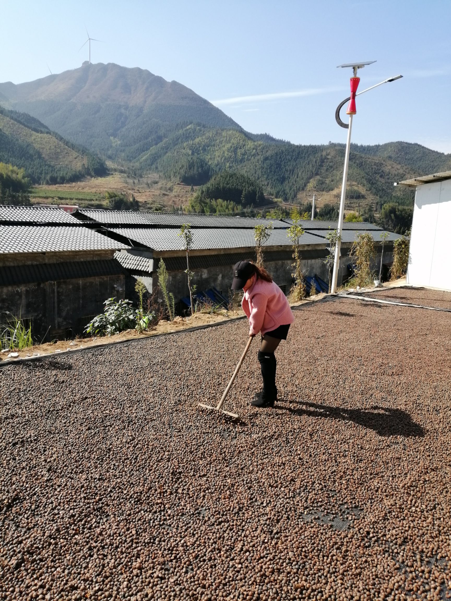  正宗小果农家山茶油自榨土茶油