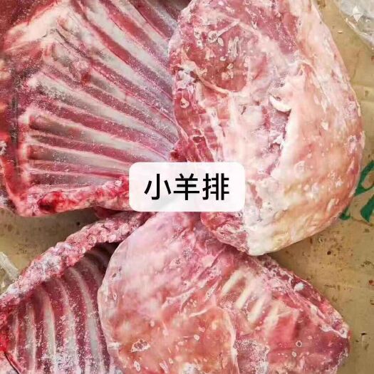 阳信县 羔羊 羊排