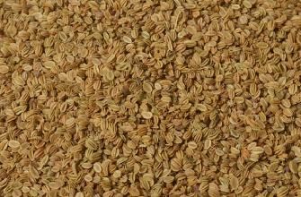 蛇床子  正品she床子 干净  一公斤起包邮