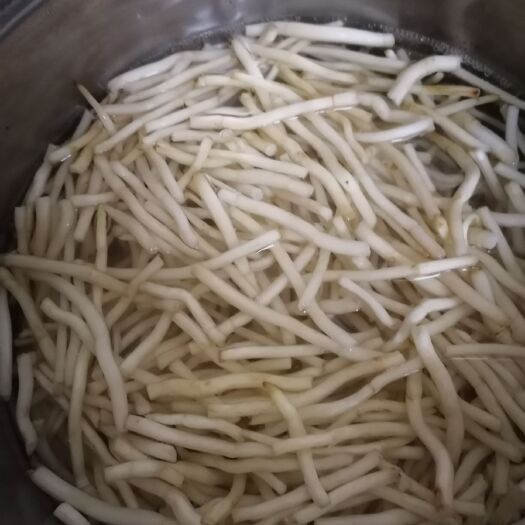 洛阳银条菜 偃师特产！
