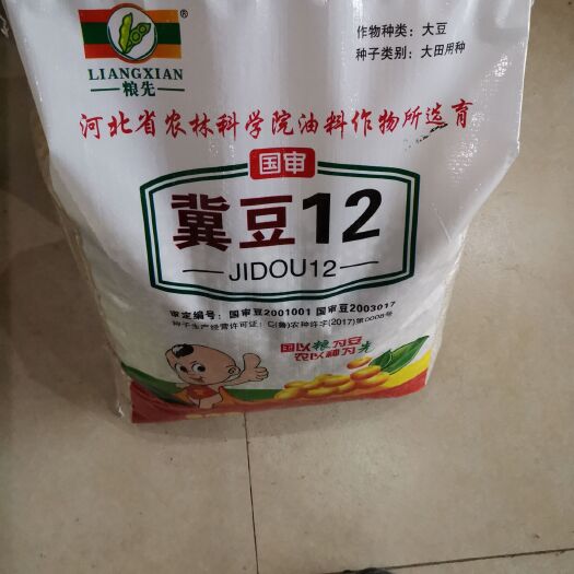 嘉祥县 高产高蛋白大豆种子