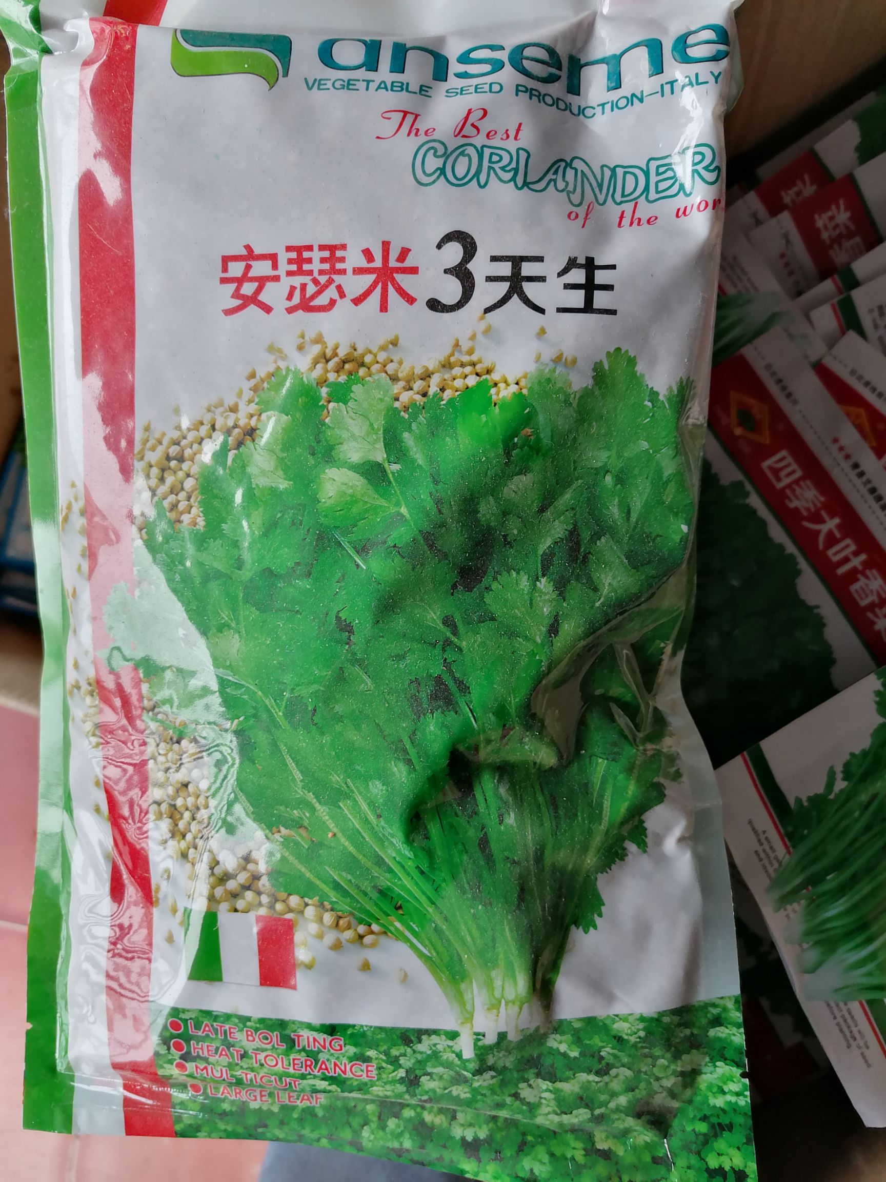 老香菜种子蔬菜种孑秋季芫荽香菜种籽小青菜阳台种菜四季香菜籽