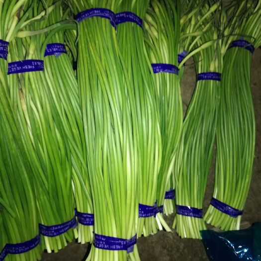 金乡县红帽蒜薹  精加工小把蒜薹超市直供，常年供应量大从优