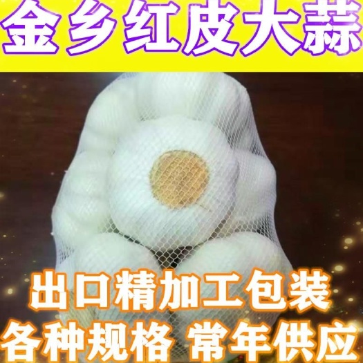 金鄉(xiāng)縣太空蒜  大蒜  山東紅皮大蒜，各種規(guī)格包裝，凈蒜，常年供應(yīng)