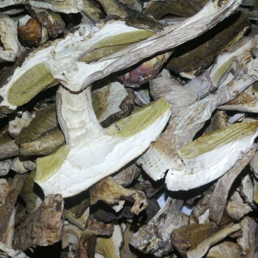 墨江县美味牛肝菌 干牛肝菌 野生牛肝菌