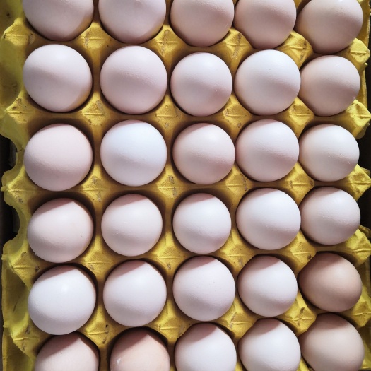 广州土鸡蛋 食用 箱装