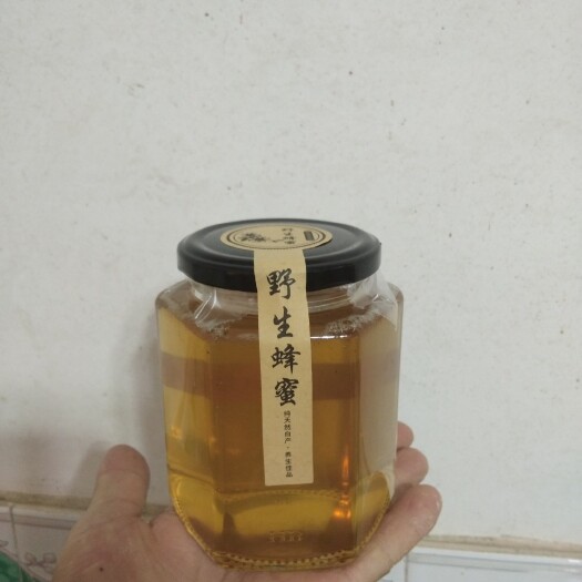 东源县鸭脚木蜜 鸭脚木花糖