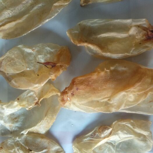 亳州鱼鳔 鱼膘，花胶常年经营，诚信可靠，货干，优质货，规格多，欢迎订购