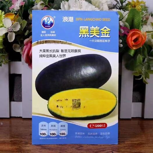 樟树市 黑美金西瓜种子黑皮黄瓤黄肉薄皮西瓜早熟大果甜多汁大田水果四