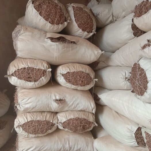 陇西县北柴胡  二年生高含量现货。