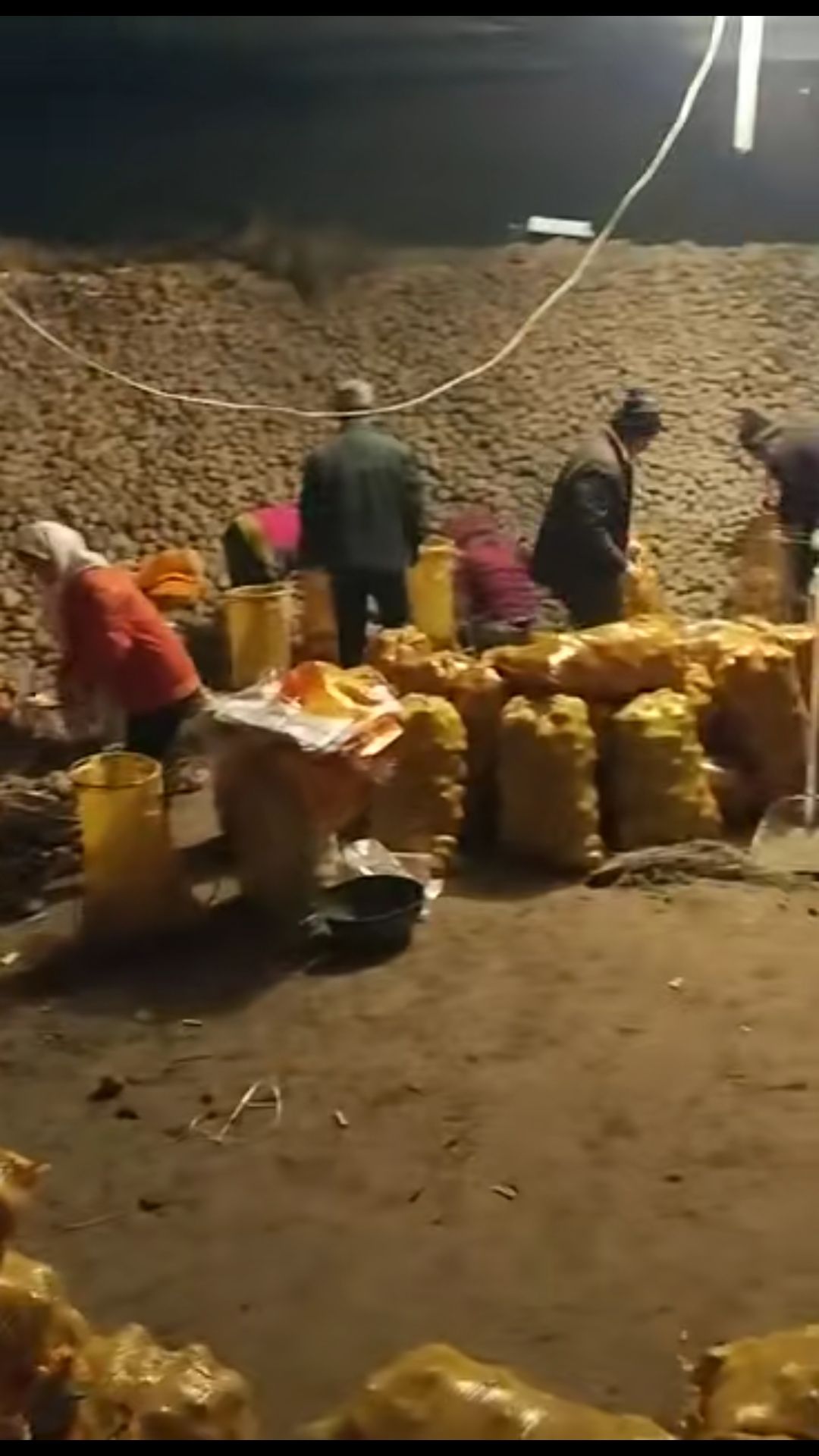 土豆  定西马铃薯，统装货3量以上