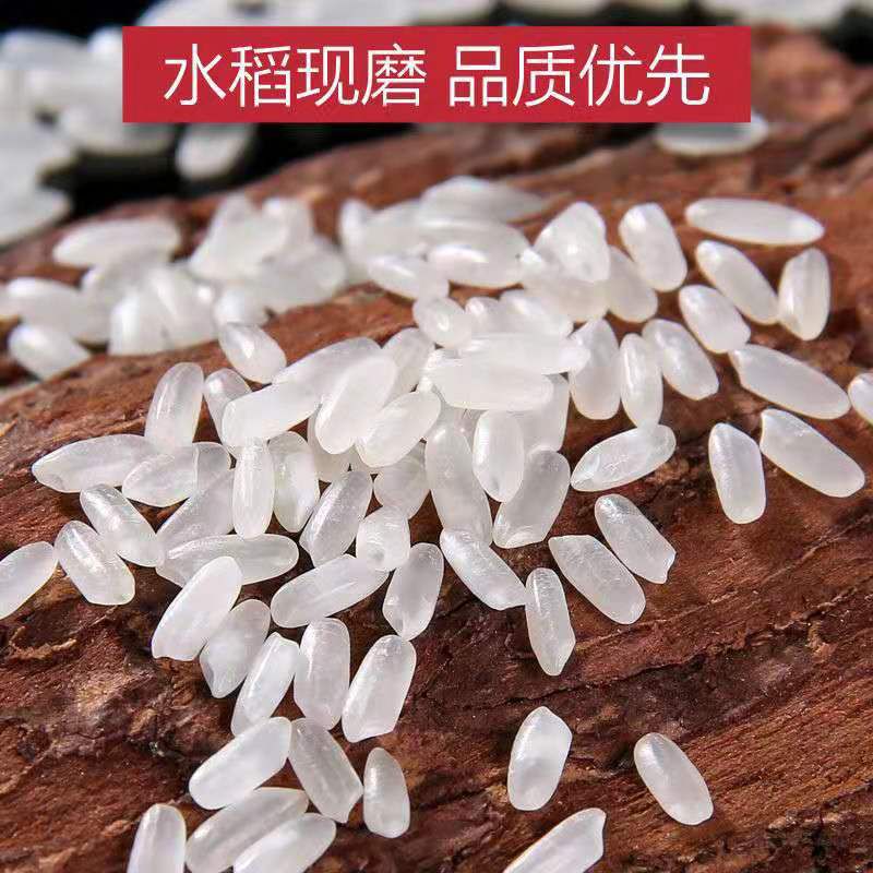  东北响水石板大米长粒香
