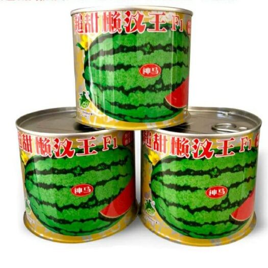 超甜懒汉王西瓜种子大果型耐重茬抗病西瓜种子中熟长椭圆形西瓜