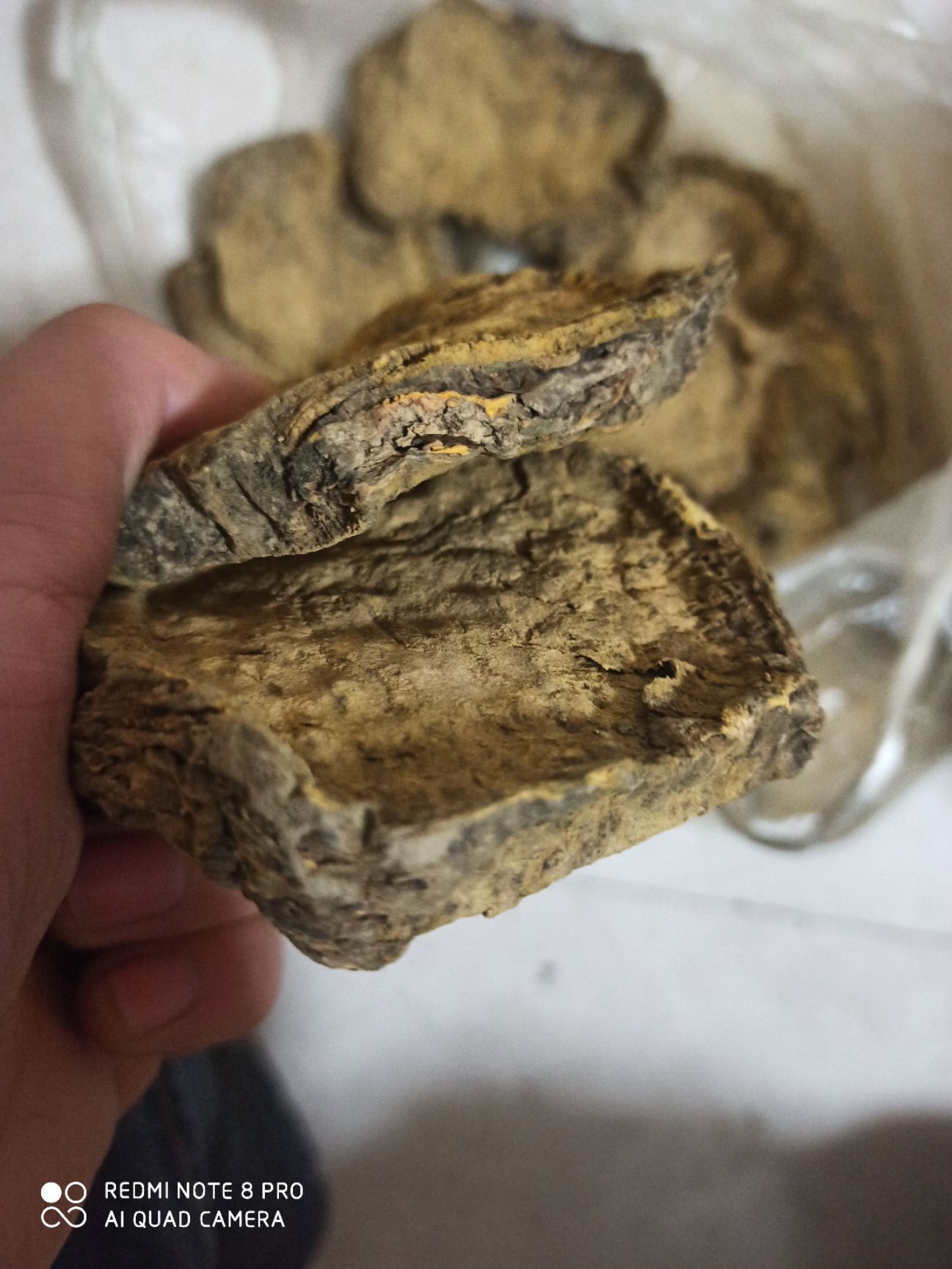  大黄  无硫高含量，一手货源，专营中药批发