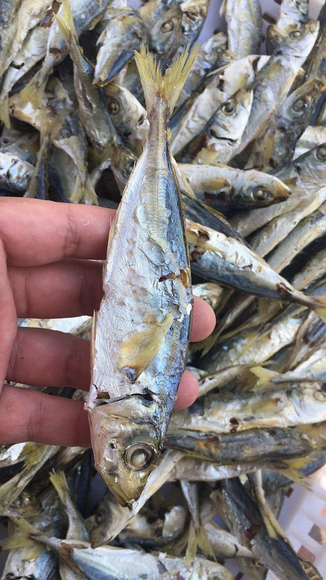  巴浪鱼干咸鱼干吃有味鱼干批发20斤起也可以一件代发电城发货