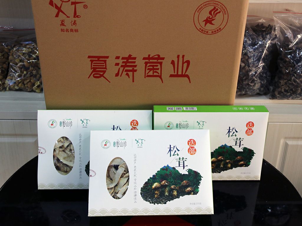  迭部特产松茸